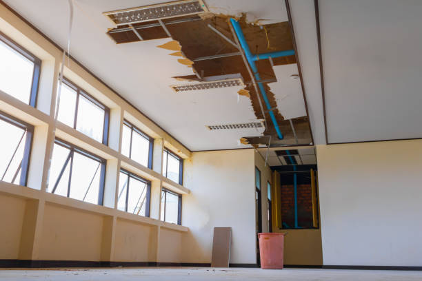 Best Carpet water damage restoration  in Holiday Shores, IL