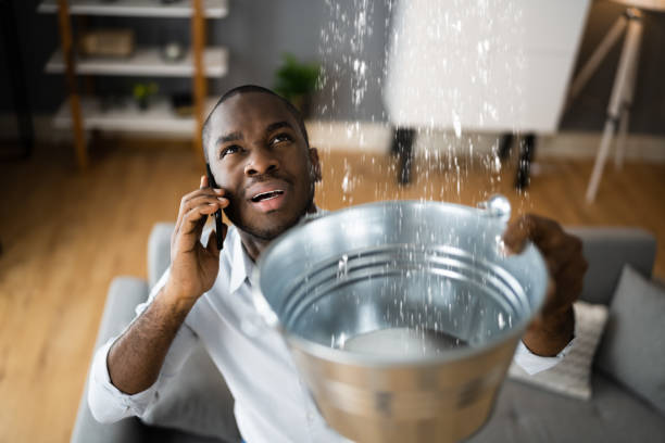 Best Local water damage restoration  in Holiday Shores, IL