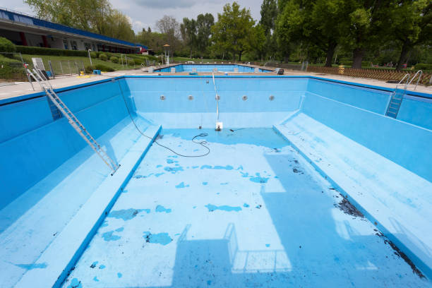 Best Water damage restoration near me  in Holiday Shores, IL