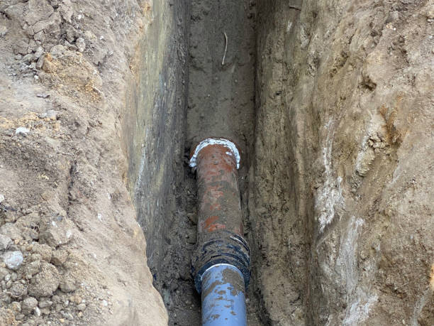 Best Residential water damage restoration  in Holiday Shores, IL