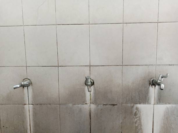  Holiday Shores, IL Water damage restoration Pros