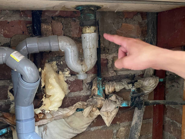 Best Fire Damage Restoration  in Holiday Shores, IL