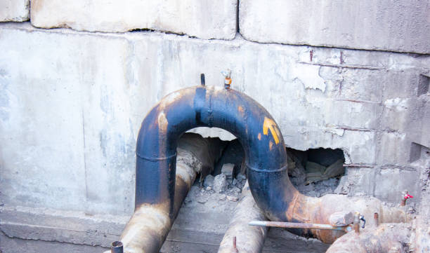 Best 24/7 water damage repair  in Holiday Shores, IL
