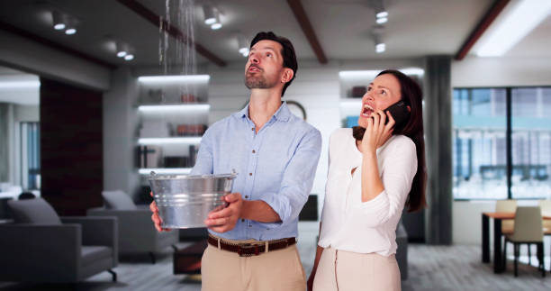 Best Water damage contractors near me  in Holiday Shores, IL