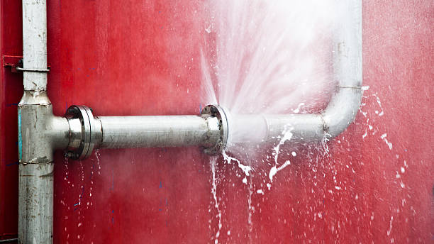 Best Sewage cleanup and water damage restoration  in Holiday Shores, IL